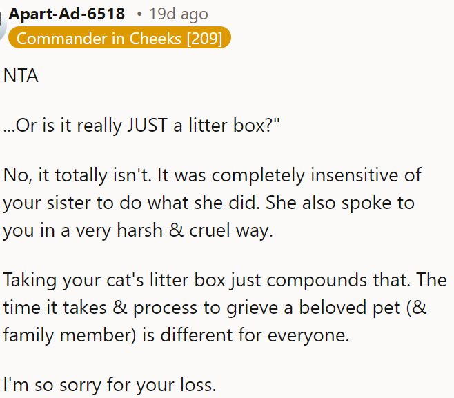 OP's sister's actions were insensitive and cruel.