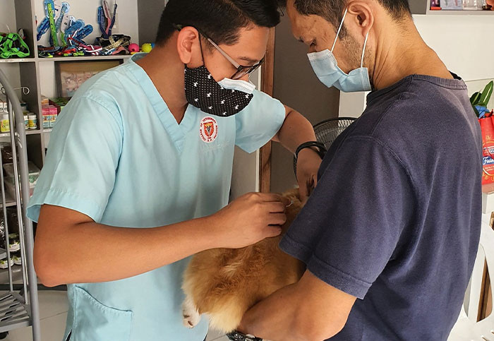 6. Veterinary medicine is not the money-making machine many people think it is