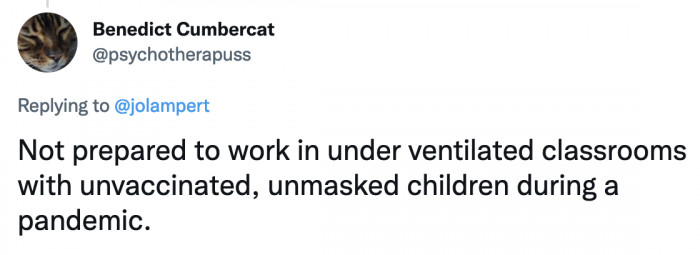 26. Teachers shouldn't have to risk their health because of the grandstanding of other irresponsible adults.