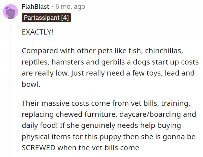 19. It's not Jen who's going to be in trouble when there comes a need for a vet; it's the poor puppy