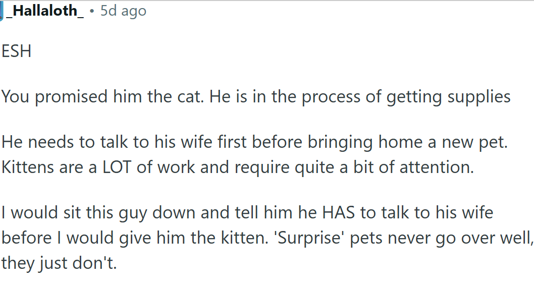 The OP promised a cat... she needs to deliver...