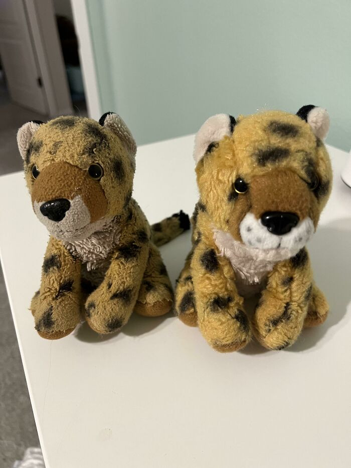 "Daughter’s Favorite Stuffed Animal “Scratch” vs. The New Backup Replacement"
