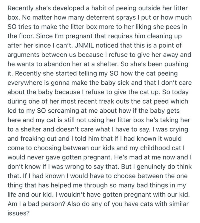 OP’s cat has recently been peeing and pooping outside its litter box, which has brought fears about how it could affect their incoming baby