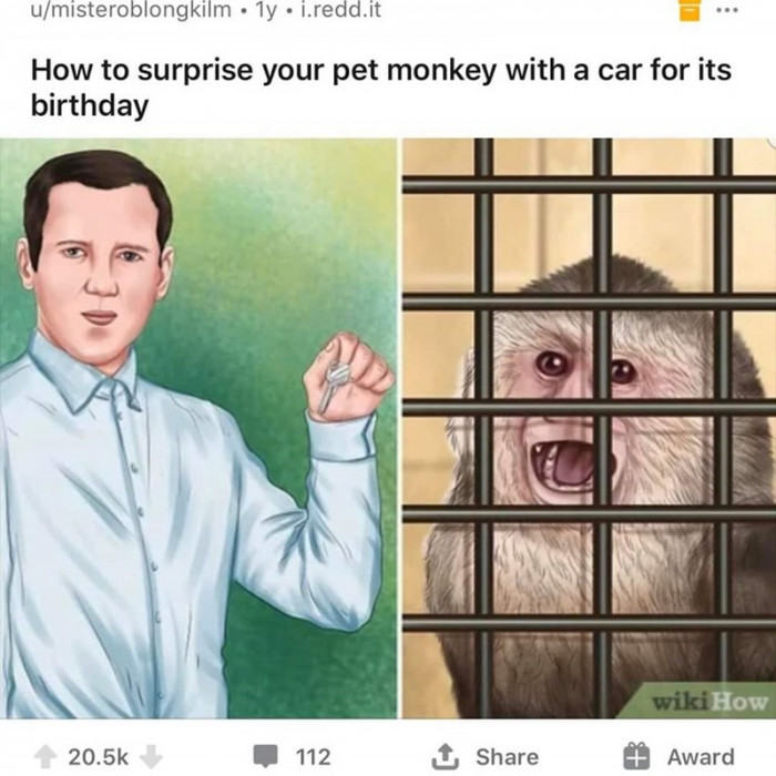 39. What a lucky and rich monkey!