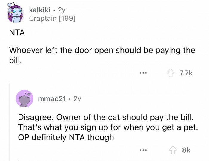 7. Considering the current situation in the house, the owner is the one to blame and take responsibility.