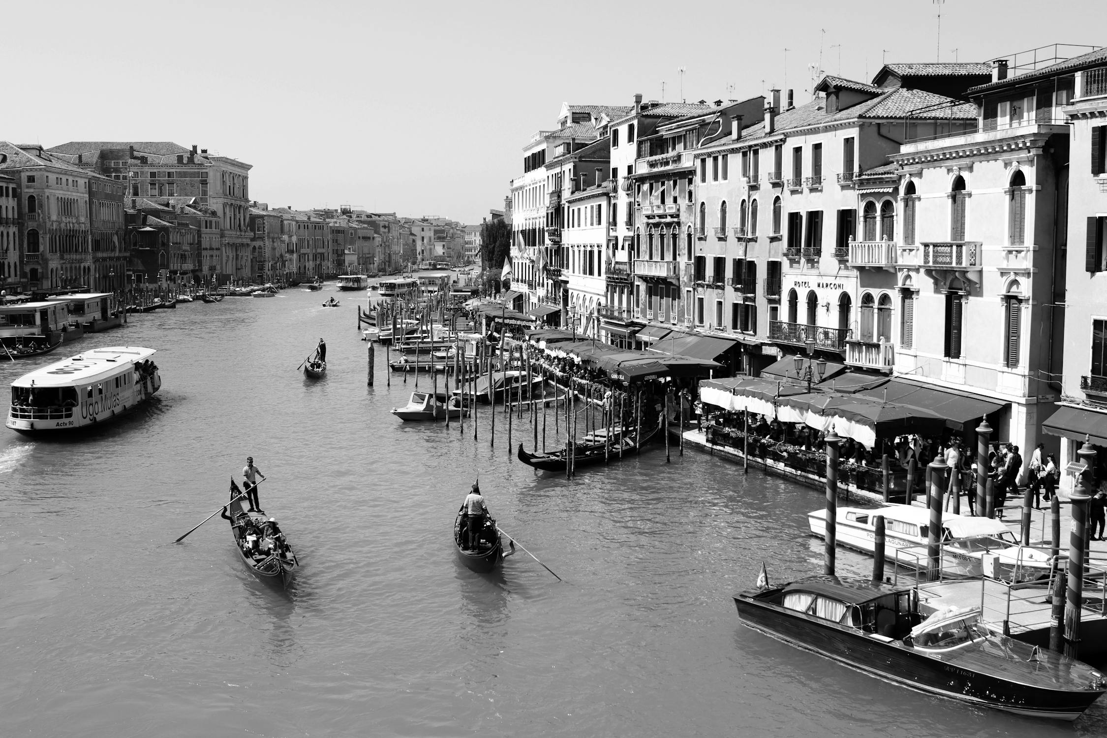 Despite the intense preparation and the physical demands of steering the heavy, flat-bottomed gondolas through Venice’s narrow and often crowded canals, the rewards for those who succeed are significant.