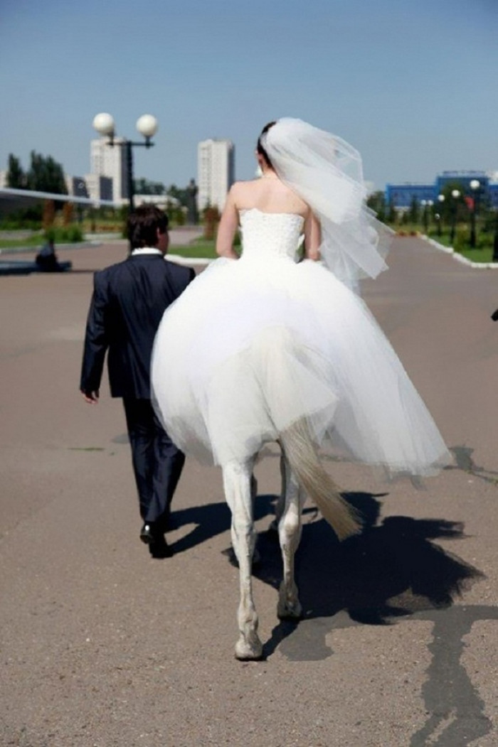 38. So my wife is a centaur...