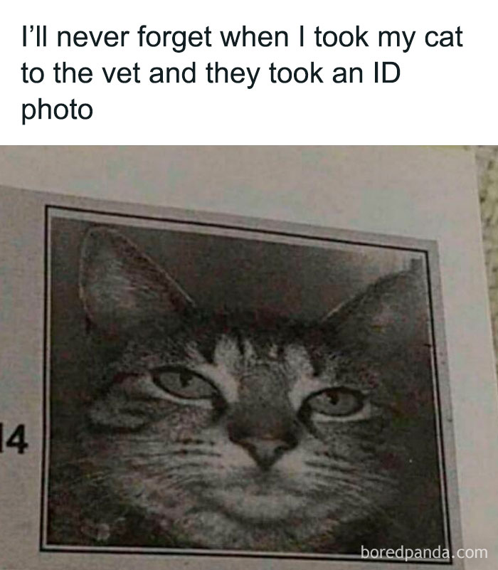 39. Blessed ID Photo