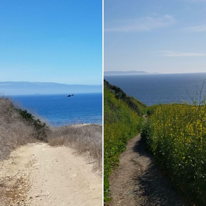 "Socal Before And After A Wet Winter"
