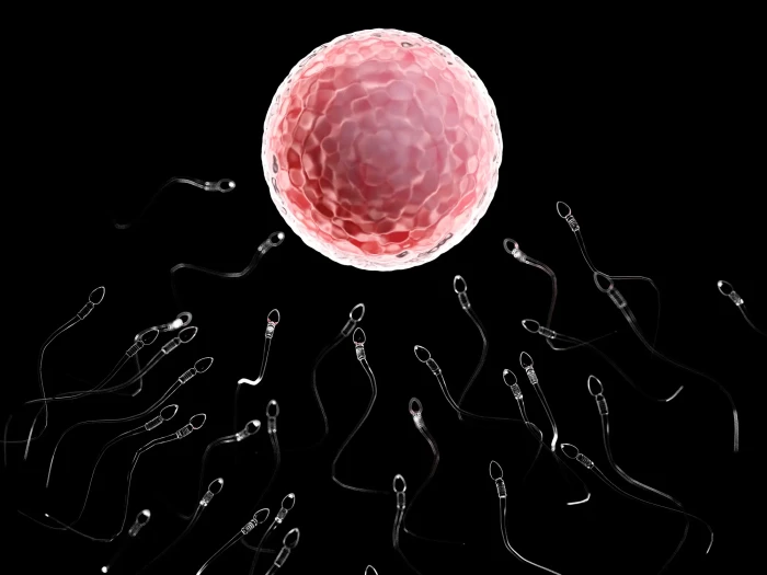 Clinician reviews semen analysis results, explaining male fertility changes and varicoceles