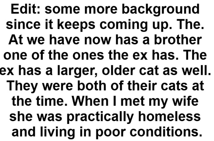 OP added an edit to share more background on their situation and the current status of the cats.