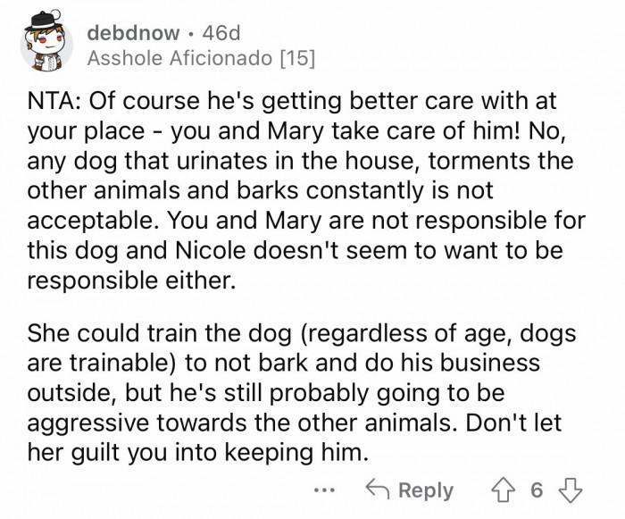 8. Your guilt will never do good for the dog or yourself; let the authorities handle the situation.
