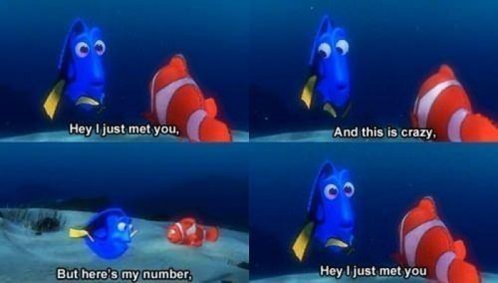 24. Finding Dory in four images