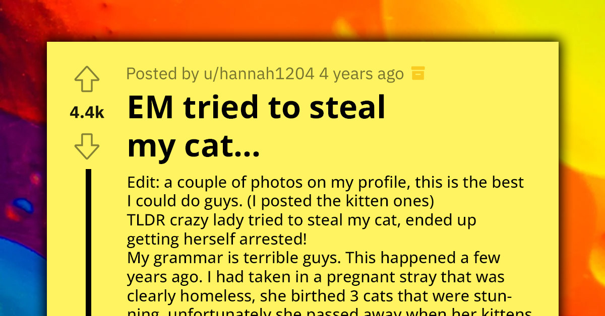 Valiant Redditor Defends Their Precious Kitty From Neighborhood Cat-Napper Despite Getting Physically Attacked