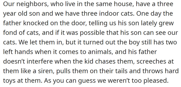 The OP explained they let their neighbor's son play with the cats, but he was abusive towards them: