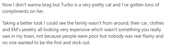 Proud of Turbo's beauty, OP couldn't help but notice the entitled family's conspicuous wealth, a rare sight in their humble, unassuming small town.