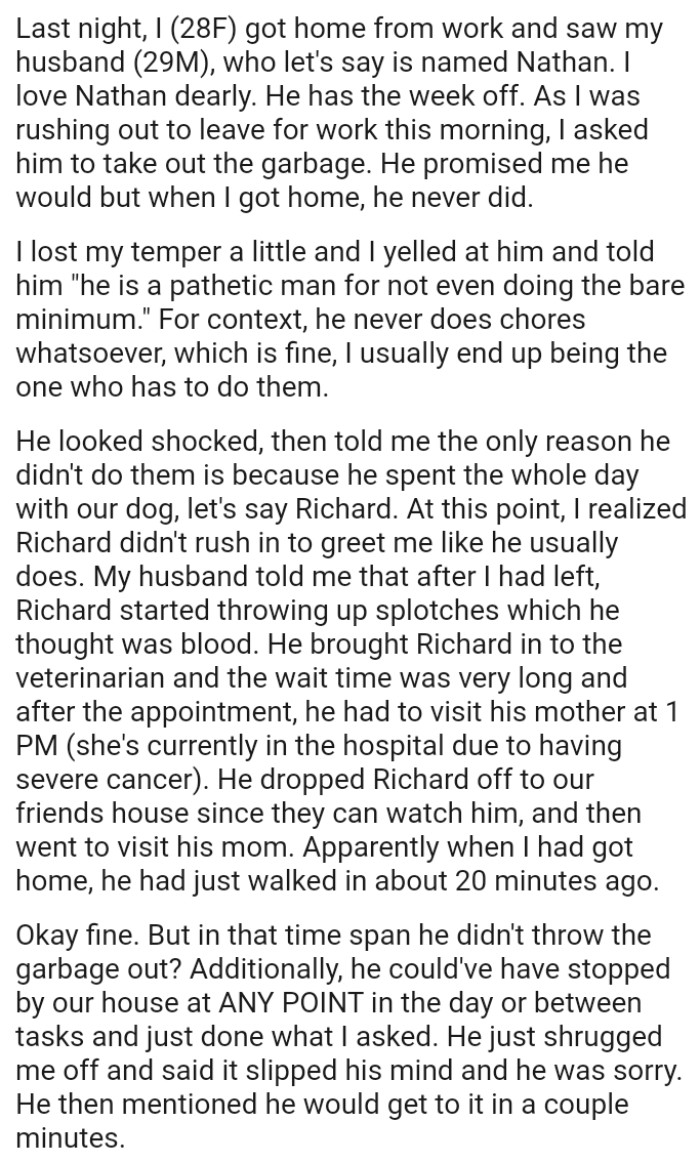 OP's husband never does chores whatsoever, which is fine as the OP usually ends up being the one who has to do them