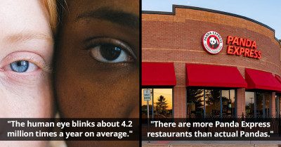 20 Of The Most Interesting Yet Random Statistics That Have Ever Been Shared Online