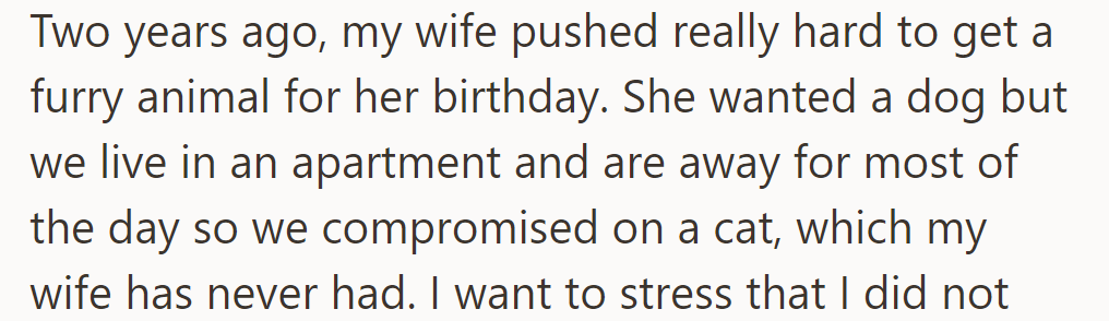 Two years ago, OP compromised on a cat for her birthday instead of a dog.