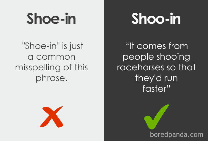 27. Shoo-in