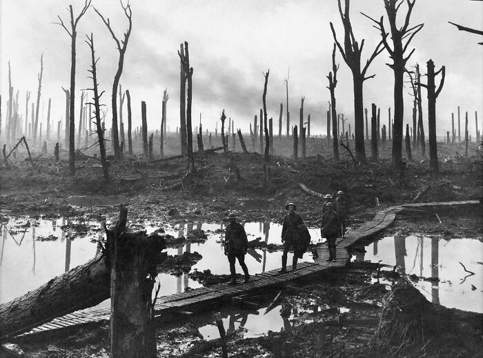 "Soldiers Of An Australian 4th Division Field Artillery Brigade Walk On A Duckboard Track Laid Across A Muddy, Shattered Battlefield In Chateau Wood, Near Hooge, Belgium, October 29, 1917"