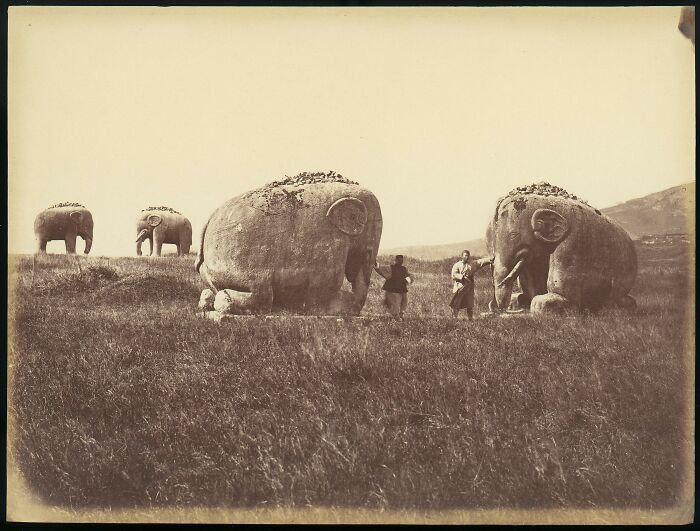 "Two Men By Monumental Elephant Statues, China 1870's"