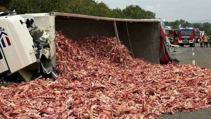 "Yesterday In Germany, A Fully Loaded Truck With Meat Scraps Tipped Over On The Highway, Causing Several 100,000 Euros In Damage"