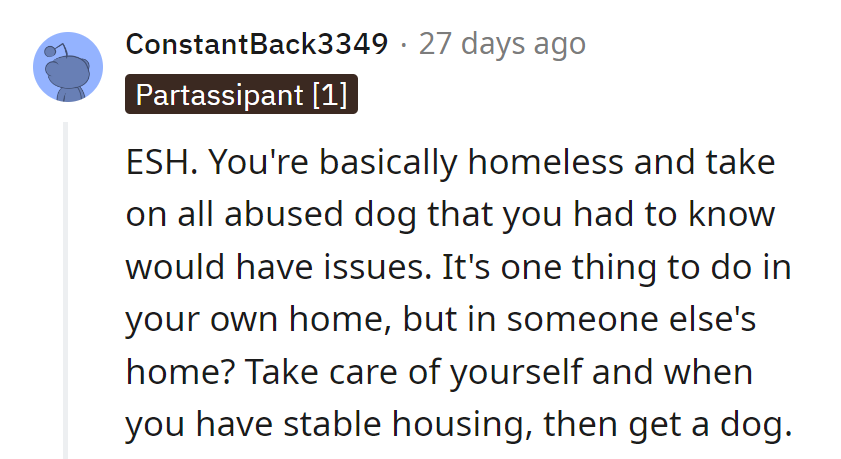 Looks like they fetched more than they bargained for! Time to leash the housing situation before things go to the dogs.