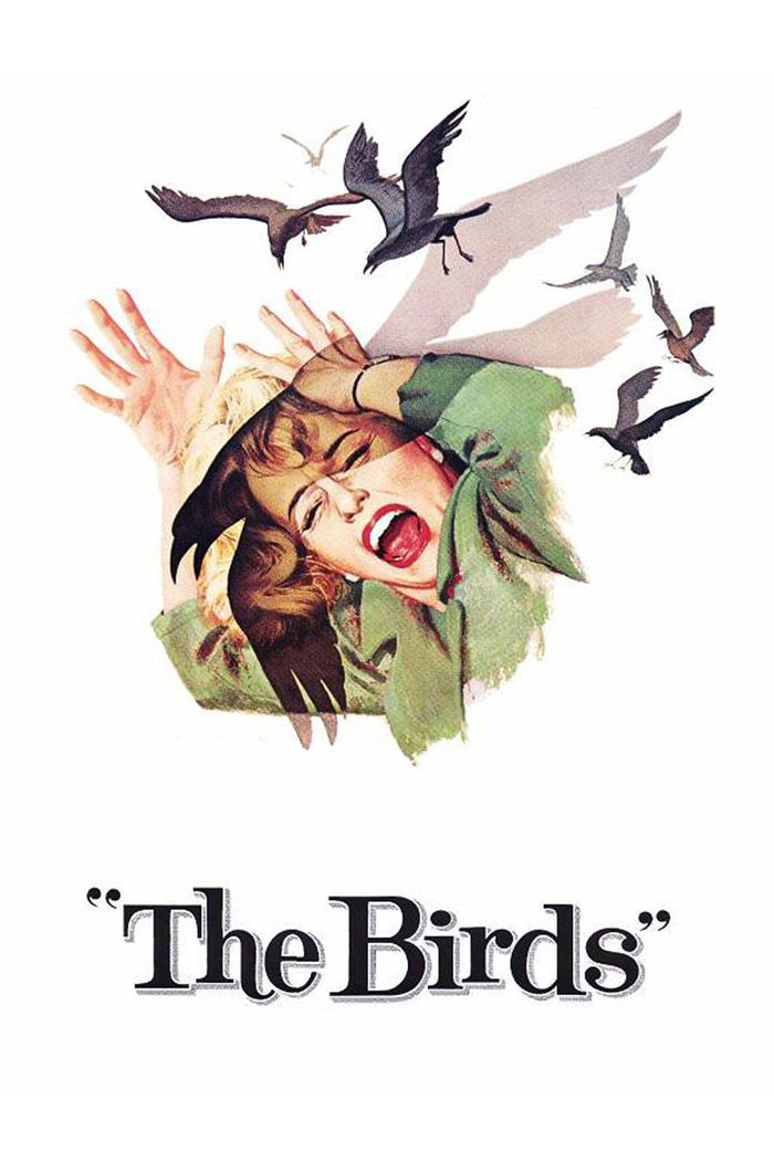 36. The Birds