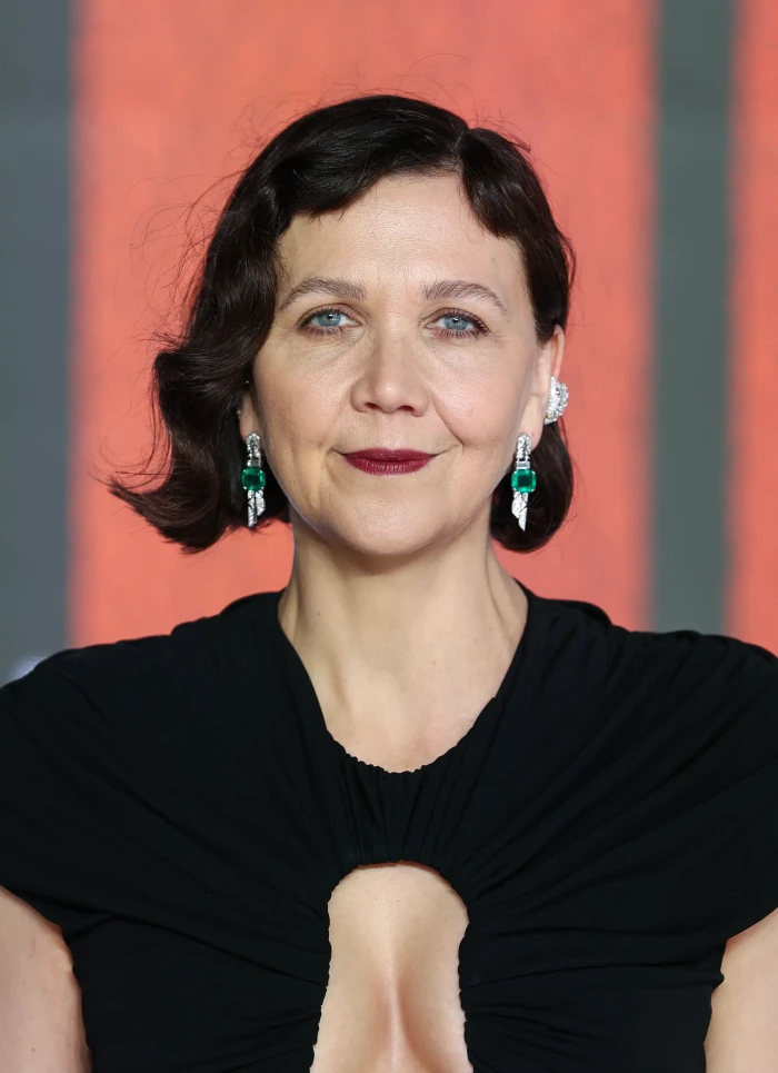 Maggie Gyllenhaal discusses envy and sibling dynamics in a Hollywood interview.