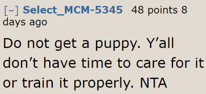 A puppy isn't suitable in a home were people are mostly away.
