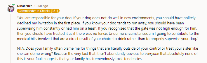 Yes, all of this! I was so shocked reading this, since when is someone else responsible for YOUR OWN dog? The nerve of some people, man…