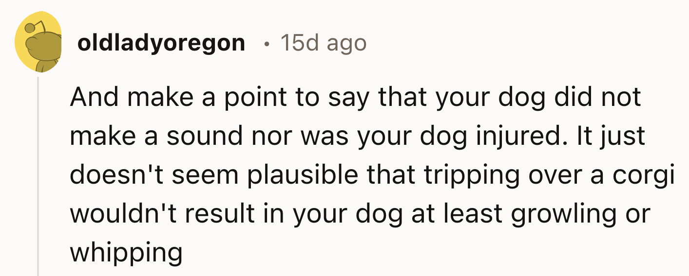 OP's Dog Showed No Reaction