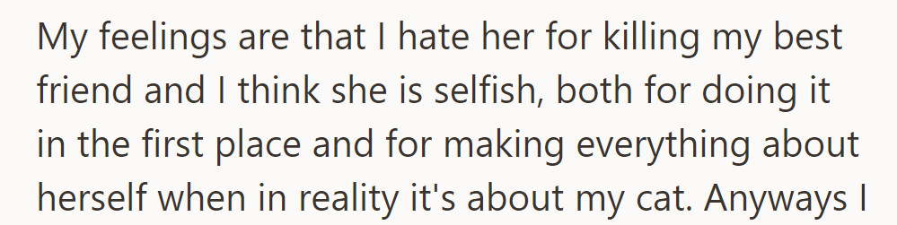 OP Resents Her for Killing Their Best Friend and Perceives Her as Selfish for Making It About Herself Rather Than Their Cat.