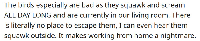 The Redditor says there is nowhere to escape the noise.