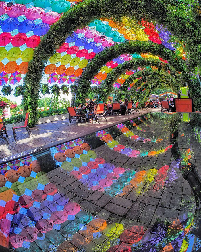 28. An Amazing Umbrellas Reflection In Dubai. Miracle Garden