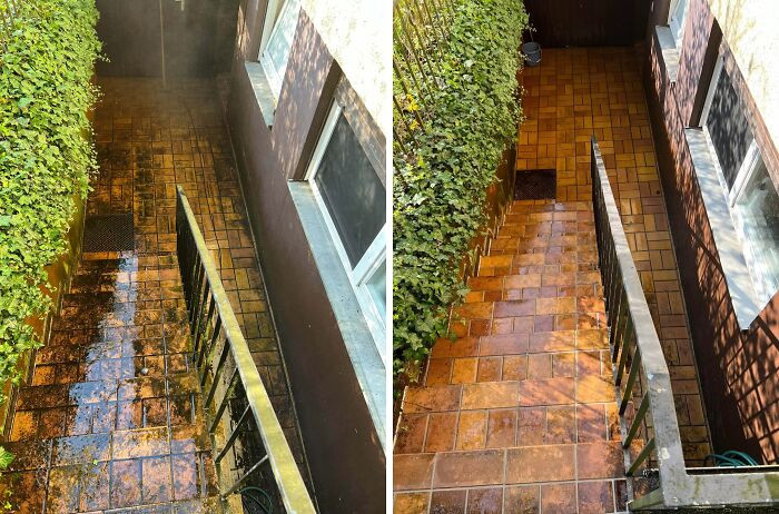 "Cleanup Before Moving To A New Flat"