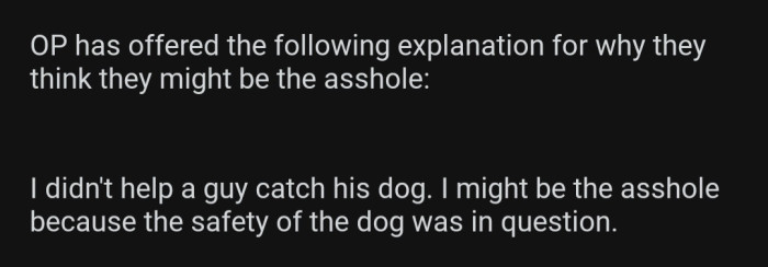 OP feels he could be the a-hole in this scenario for the following reason: