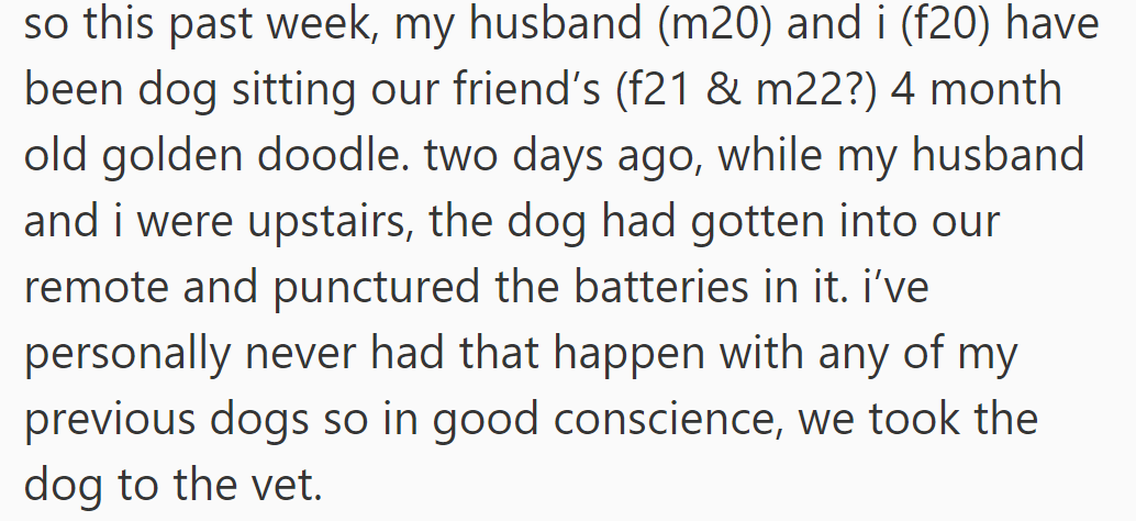 OP and her husband dog-sat a friend's puppy, who punctured remote batteries, so they took it to the vet.