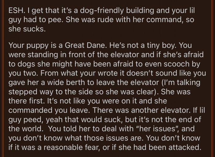 OP's dog is a Great Dane; it's a pretty big dog.