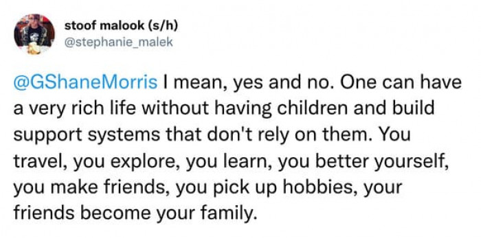 As adults, it is up to us to form those meaninful bonds and strong support system. You don't need children to do that.