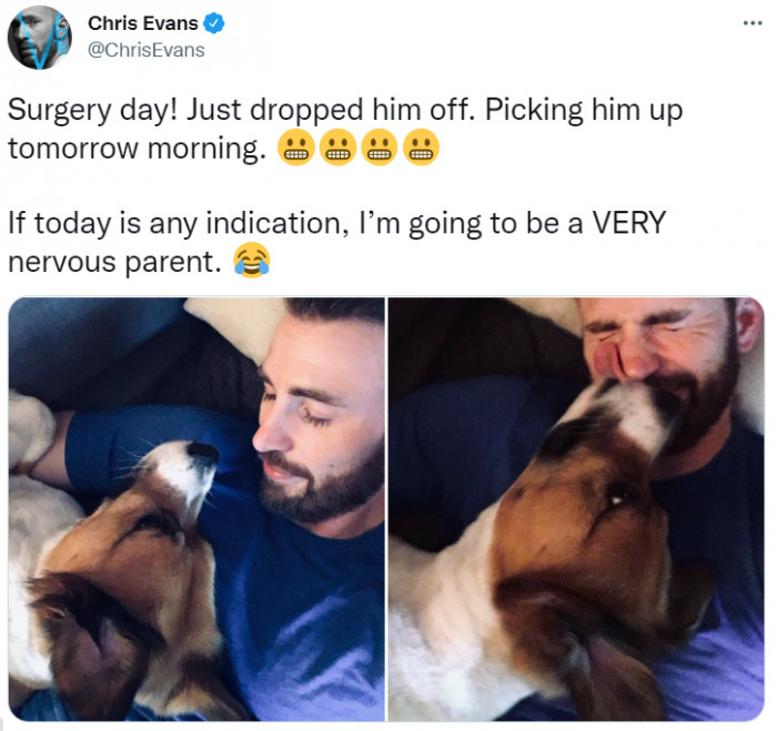 36. Pets are kids too; you are already a parent.