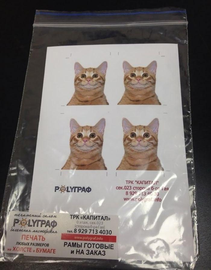 7. My Sister Works In The Photo Department And That's Who She Was Asked To Photograph For Documents