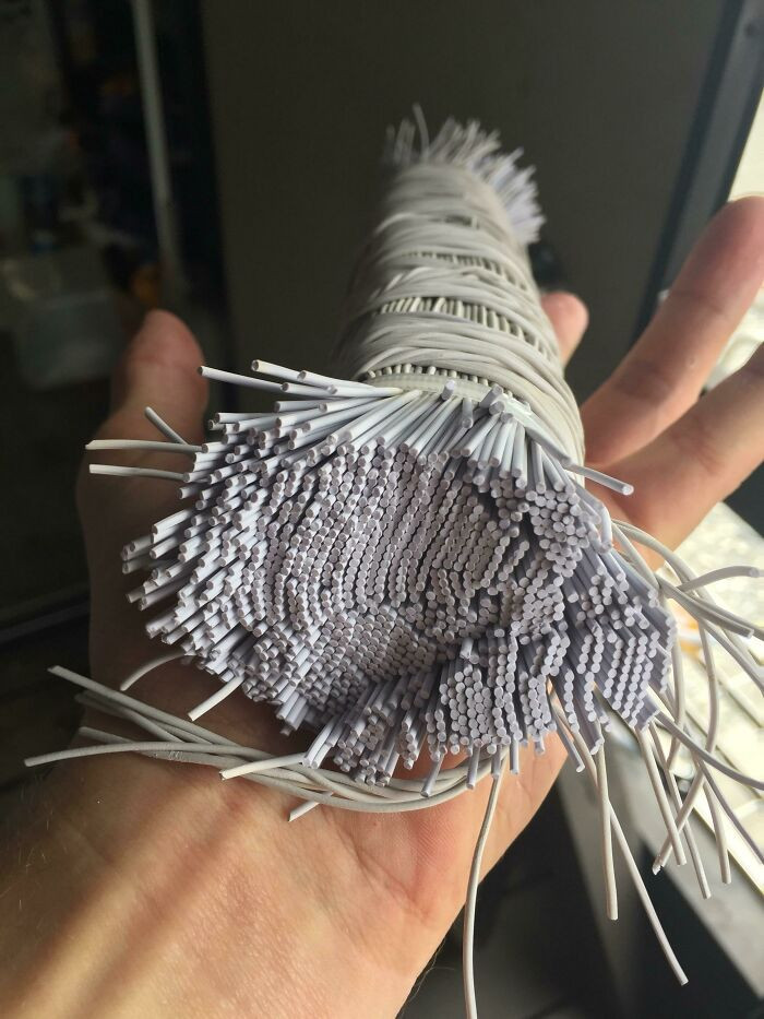 "This Is What A Bungy Cord Looks Like From The Inside"