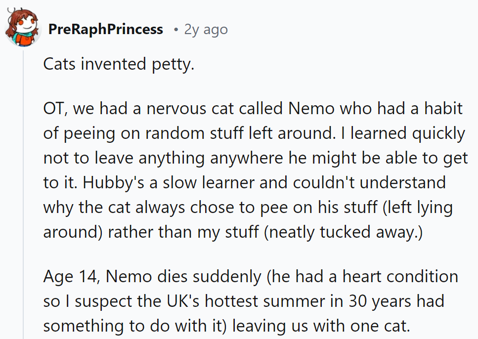 Nemo, this commenter's cat, had a knack for making his mark—quite literally. Guess he had a flair for dramatic irony. Rest in pee, Nemo.