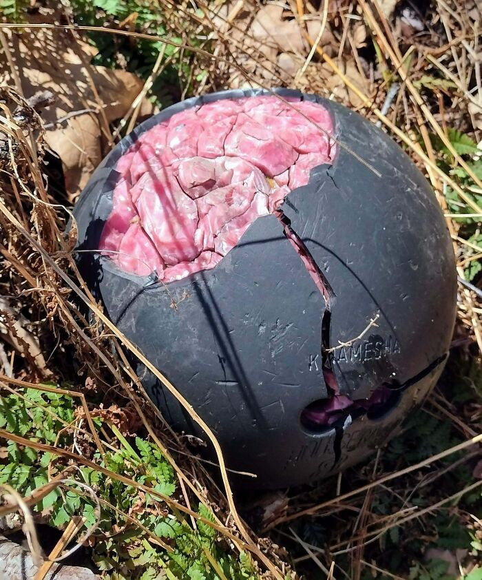 37. They discovered a bowling ball with its interior exposed in the woods.