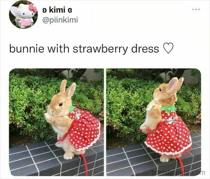 "This Is Adorable And I Can't"
