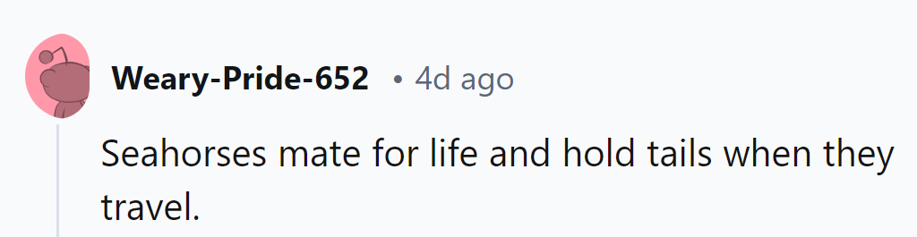 Seahorses: forever partners in a sea of monogamous wanderlust and tails.
