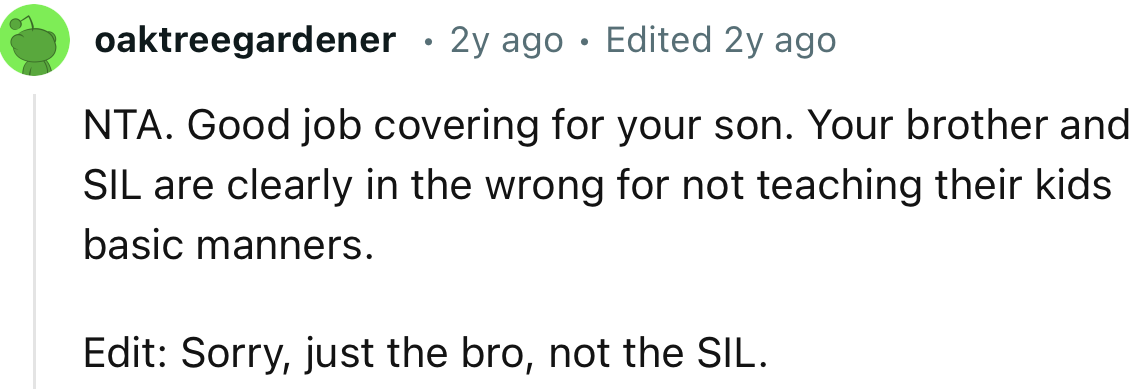 “Your brother and SIL are clearly in the wrong for not teaching their kids basic manners.”