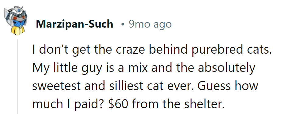 For the price of love, she got a shelter mix, proving once again that affection knows no pedigree!